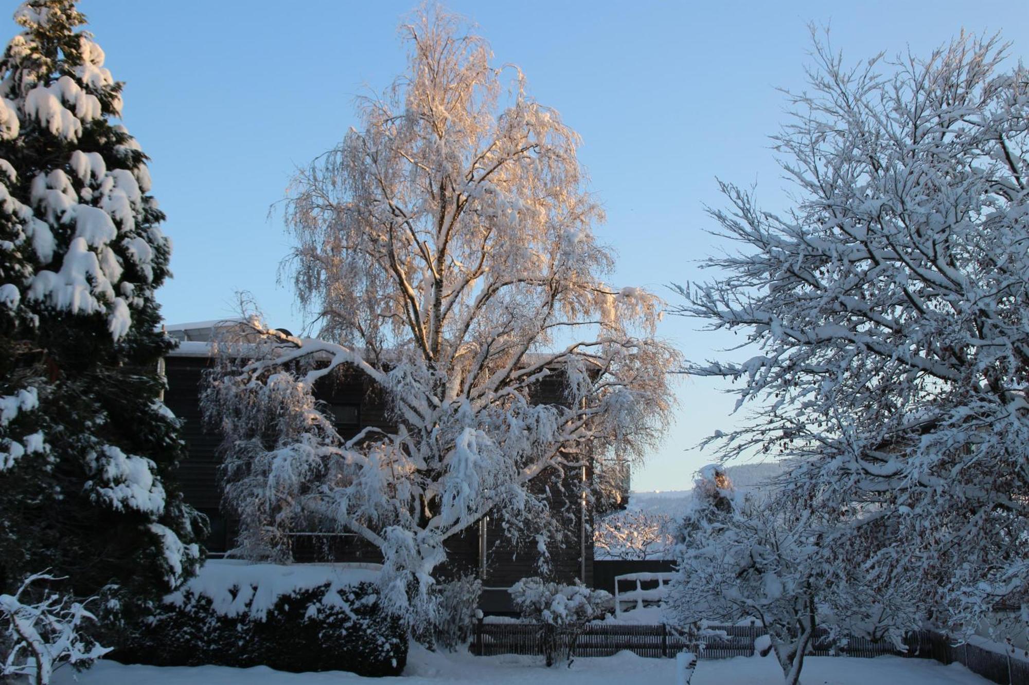 Ferienwohnung Dahoam Angerberg  Bagian luar foto
